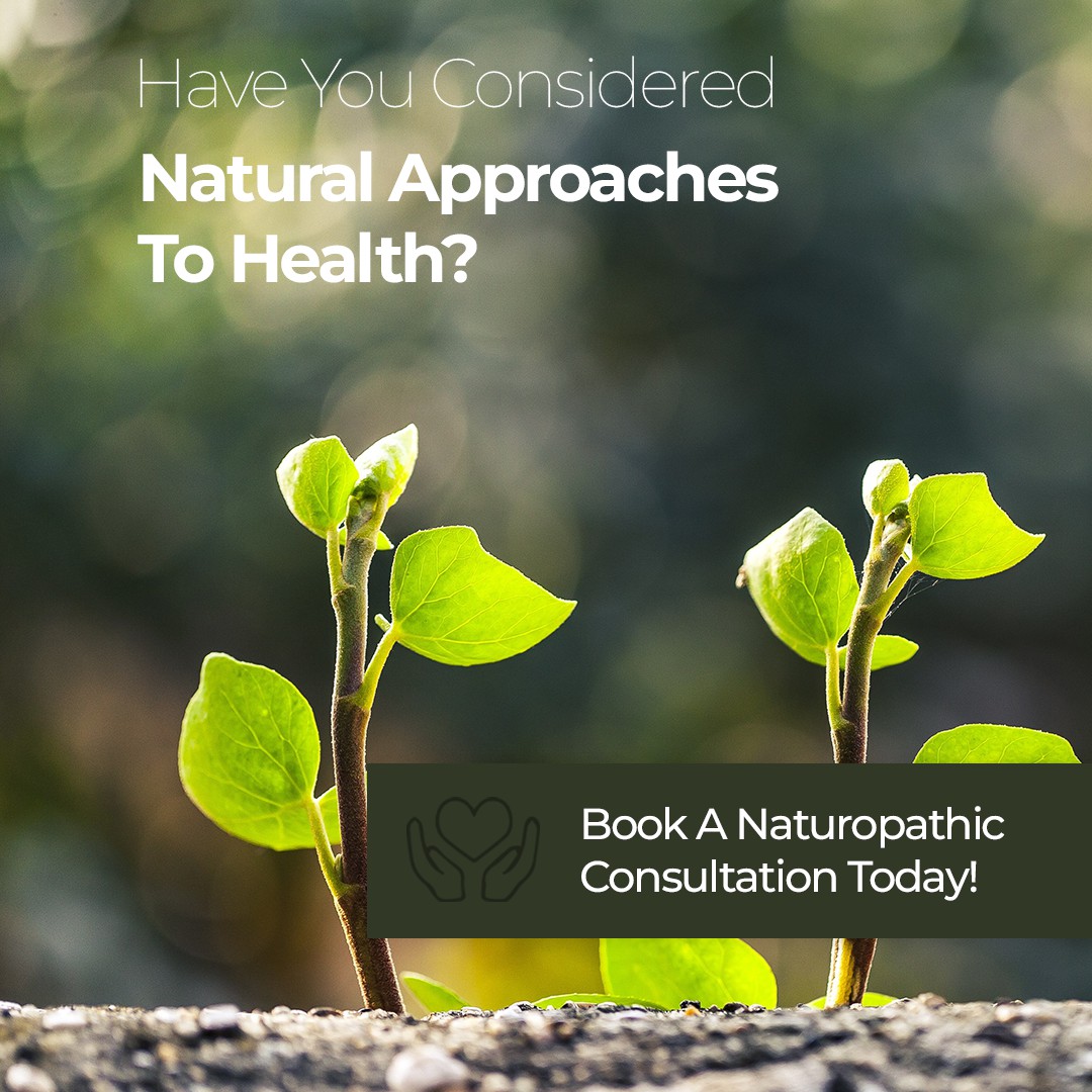Book a Naturopathic Consultation
